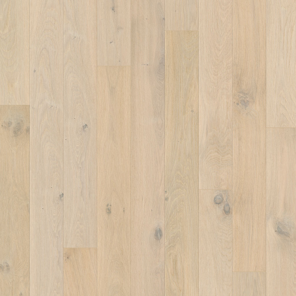 Quickstep Amato Wintry Forest Oak Extra Matt AMT3845 engineered wood topshot