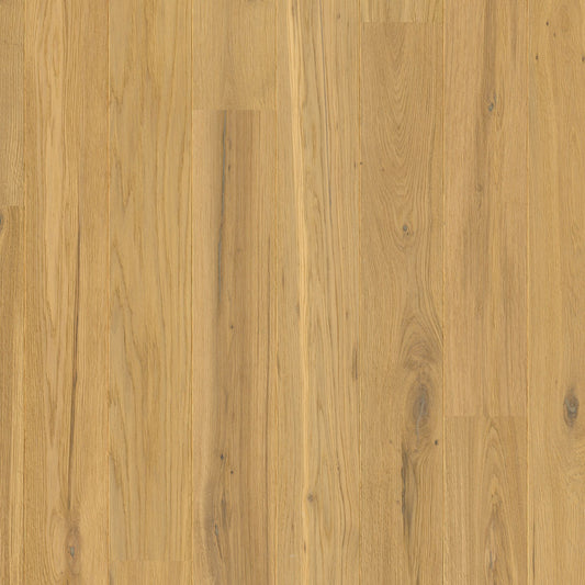 Quickstep Amato Desert Oak Extra Matt AMT5111 engineered wood topshot
