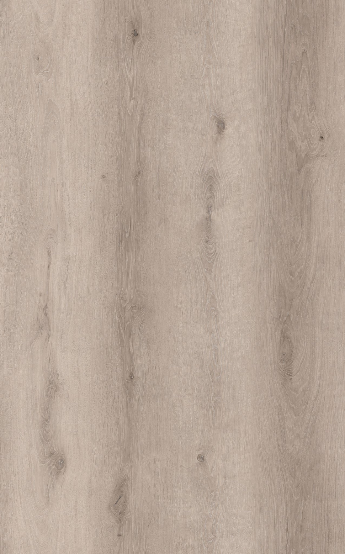 Victoria Oak 6.5mm SPC Click Flooring with Underlay Waterproof Vinyl Plank | Ultimate SPC