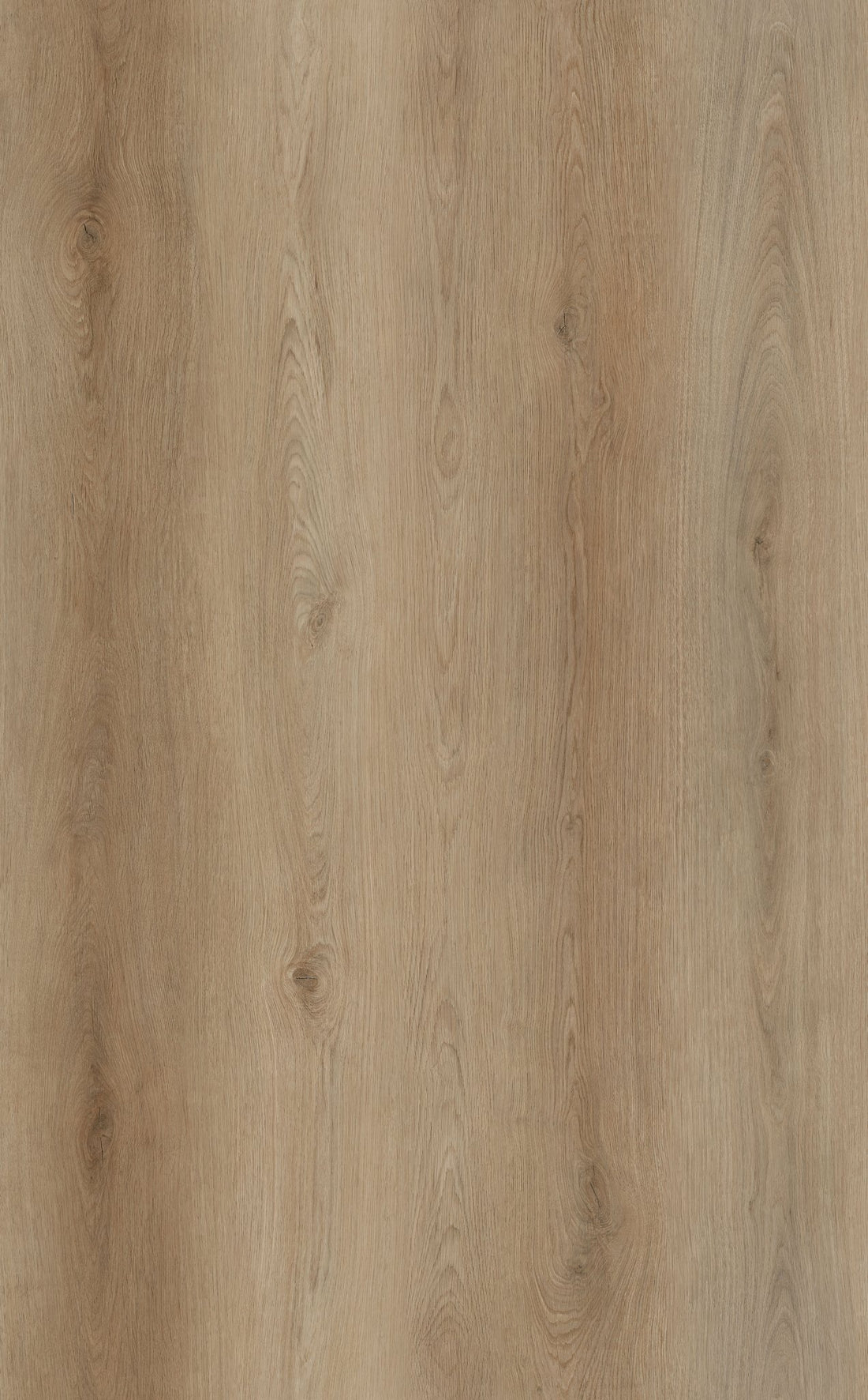 White Elder Oak 6.5mm SPC Click Flooring with Underlay Waterproof Vinyl Plank | Ultimate SPC