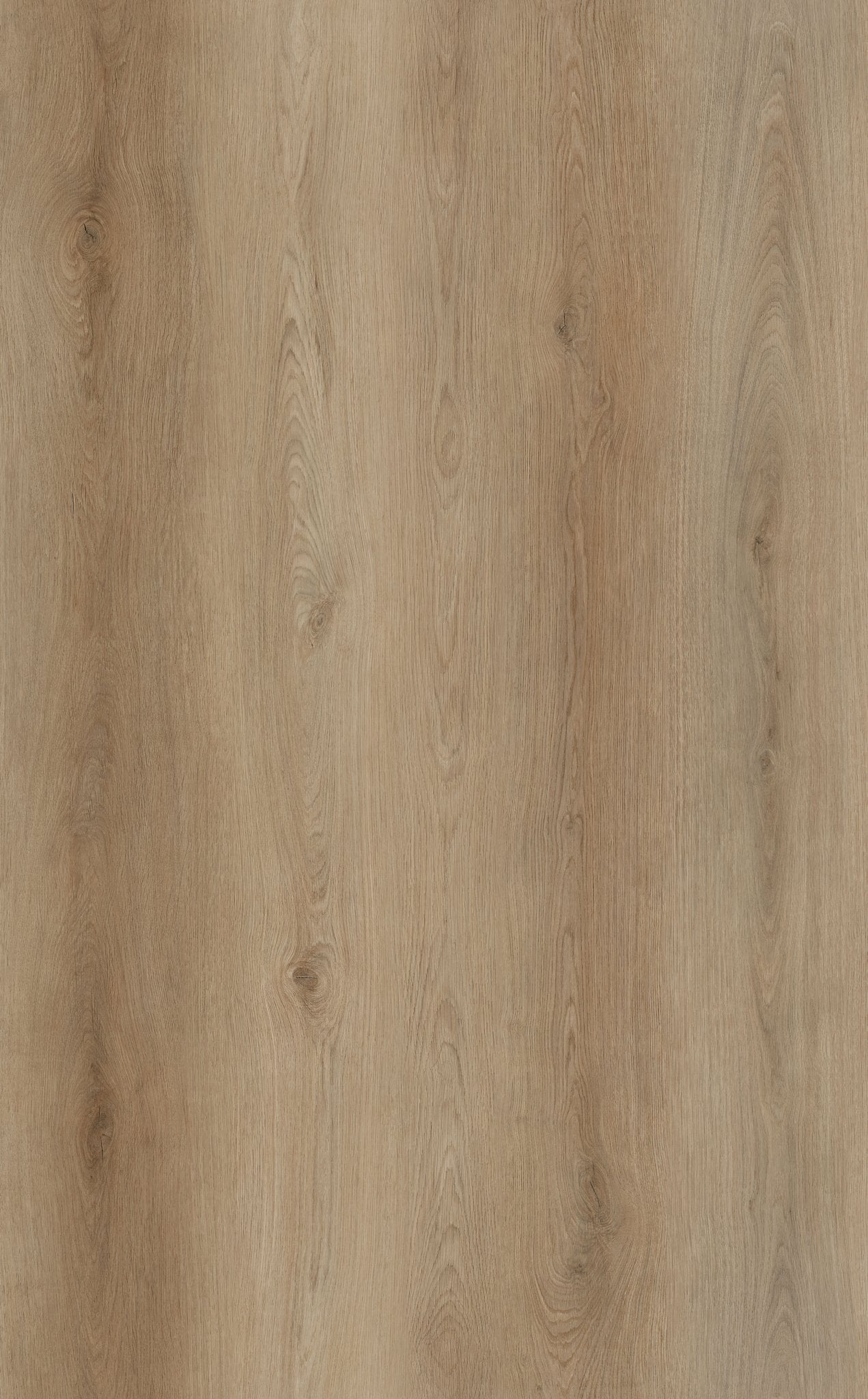 White Elder Oak 6.5mm SPC Click Flooring with Underlay Waterproof Vinyl Plank | Ultimate SPC