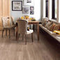 Karndean Van Gogh Frosted Birch VGW83T wood-effect LVT 0.55mm sample