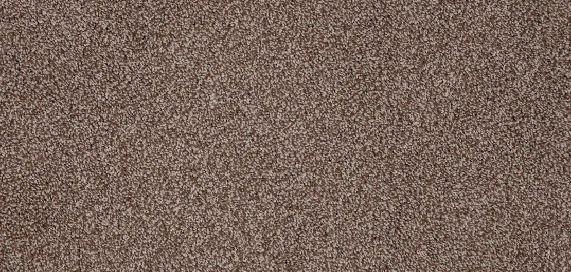 Flooring Wholesale Luxury Xtra Latte Carpet Wide Swatch