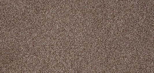 Flooring Wholesale Luxury Xtra Latte Carpet Wide Swatch