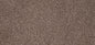 Flooring Wholesale Luxury Xtra Latte Carpet Wide Swatch