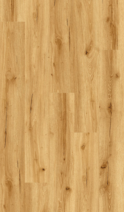 Golden Oak LVT 2mm 0.4mm Glue-Down Vinyl Flooring | Woods LVT