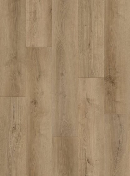 Linden Oak LVT 2mm 0.4mm Glue-Down Vinyl Flooring | Woods LVT